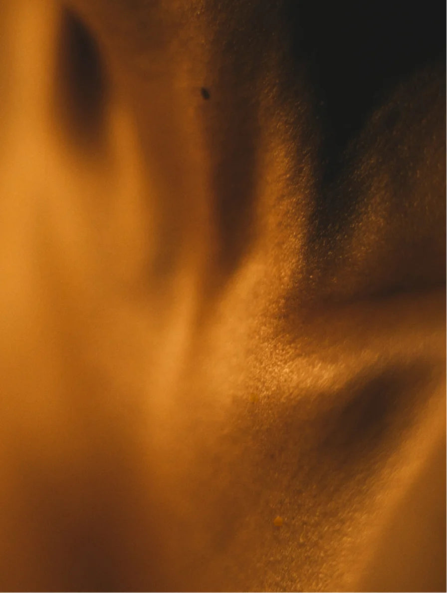 Noir & Gold™ Velvet Embrace